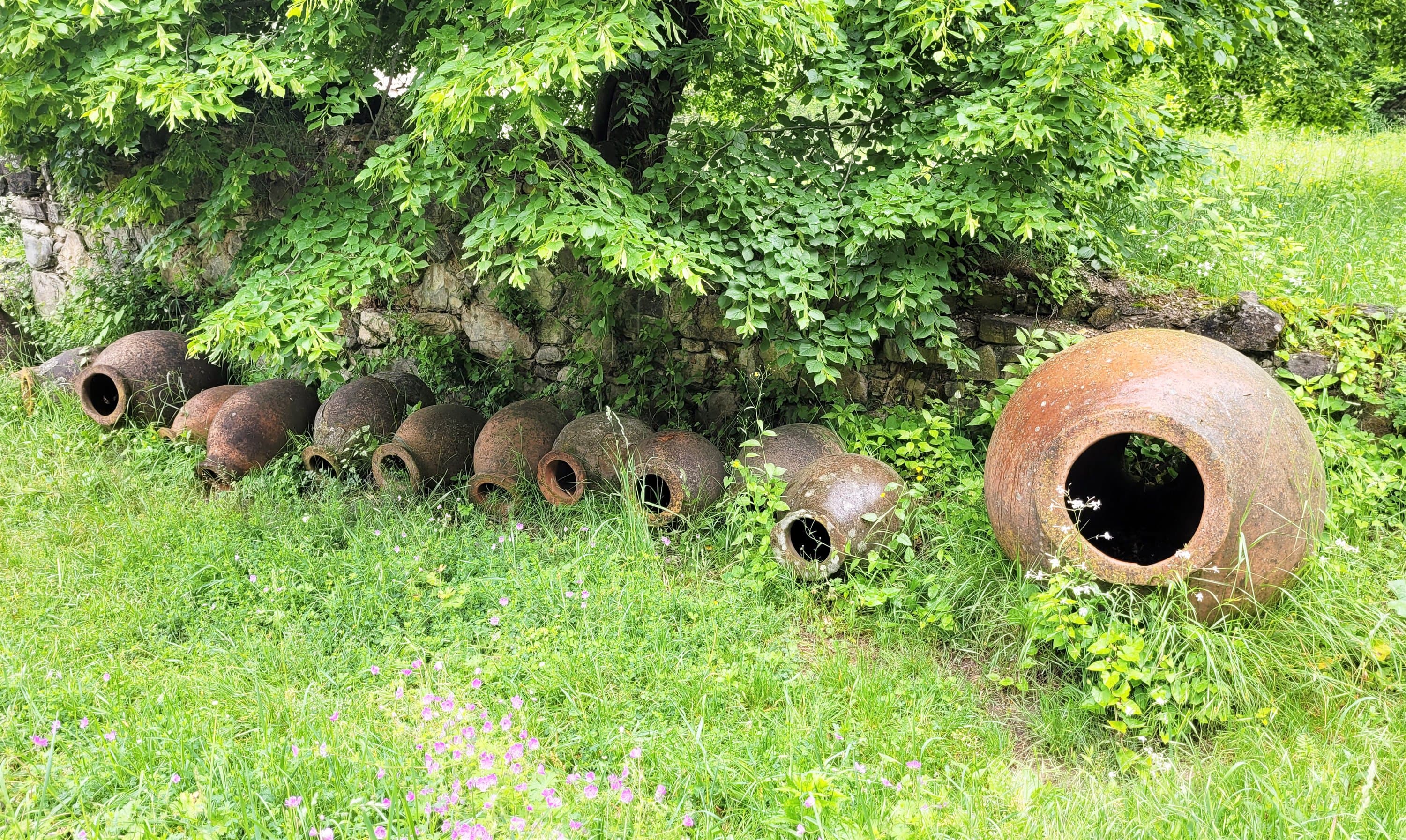 Clay qvevri of different sizes lying on the grass beside a stone wall at the Ikalto monastery in Kakheti, Georgia
