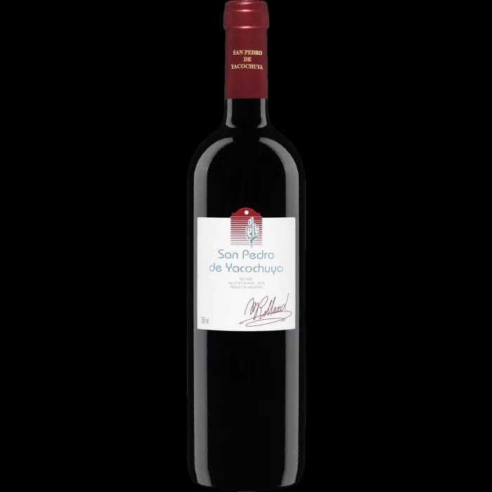 Bottle of San Pedro de Yacochuya by San Pedro de Yacochuya